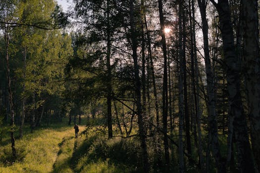 Biodiversity Conservation: Exploration as a Path to Understanding