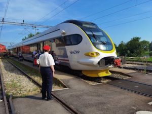 Neuroplastic Transportation: Adaptive Mobility Networks