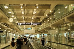 Evolutionary Travel: Understanding Human Adaptation Through Global Journeys