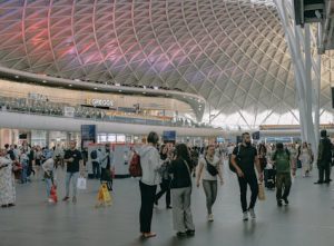 The Living Network: Interconnected Urban Mobility