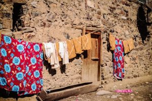 Living Biological Clothing Grows Beyond Traditional Manufacturing