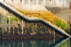The Psychological Edge in Career Navigation