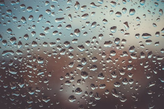 The Transparent Commute: See-Through Vehicle Technologies