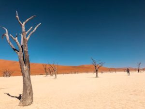 Extreme Climate Survival: Thriving in Challenging Environments