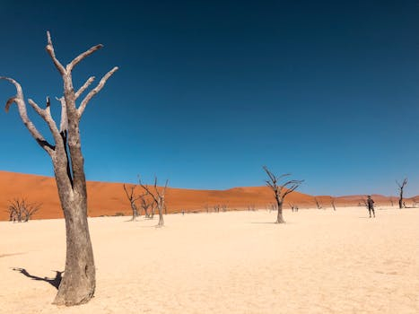 Extreme Climate Survival: Thriving in Challenging Environments