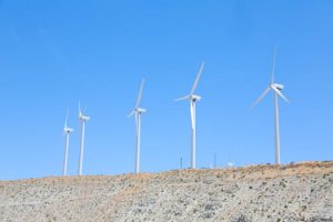 Biomimetic Energy Harvesting: Learning from Natural Systems