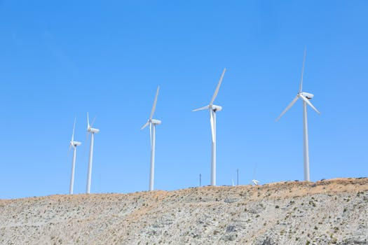 Biomimetic Energy Harvesting: Learning from Natural Systems
