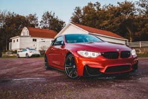 The Living Vehicle: Biotechnology Meets Automotive Design