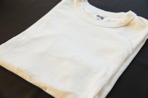 Biomimetic Clothing Designs Inspired by Natural Systems