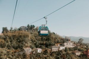 The Biomimetic Commute: Nature-Inspired Transportation