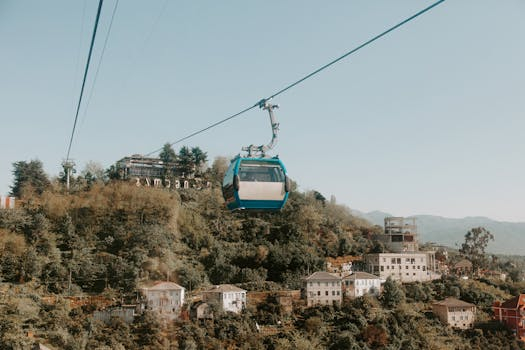 The Biomimetic Commute: Nature-Inspired Transportation