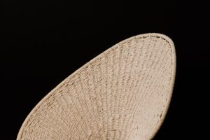Regenerative Textile Technologies Create Sustainable Fashion Ecosystems