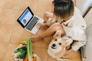 The Evolving Concept of Home in Digital Age
