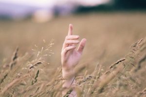 Sensory Migrations: Experiencing the World Through Multiple Dimensions