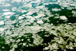 Climate Change Litigation: Global Legal Strategies for Environmental Protection
