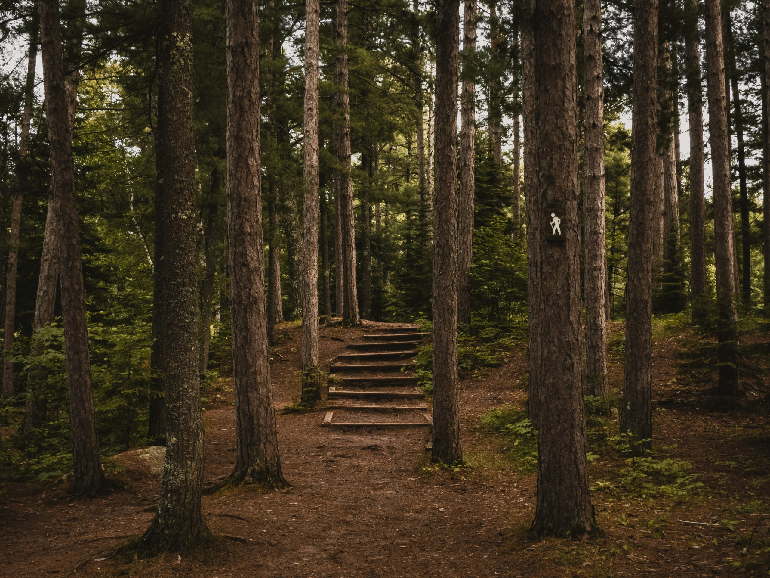 The Holistic Guide to Career Path Navigation