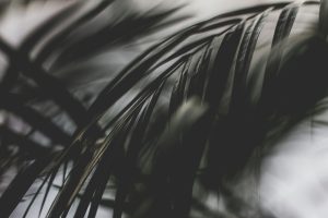Indigenous Legal Sovereignty in a Globalized World