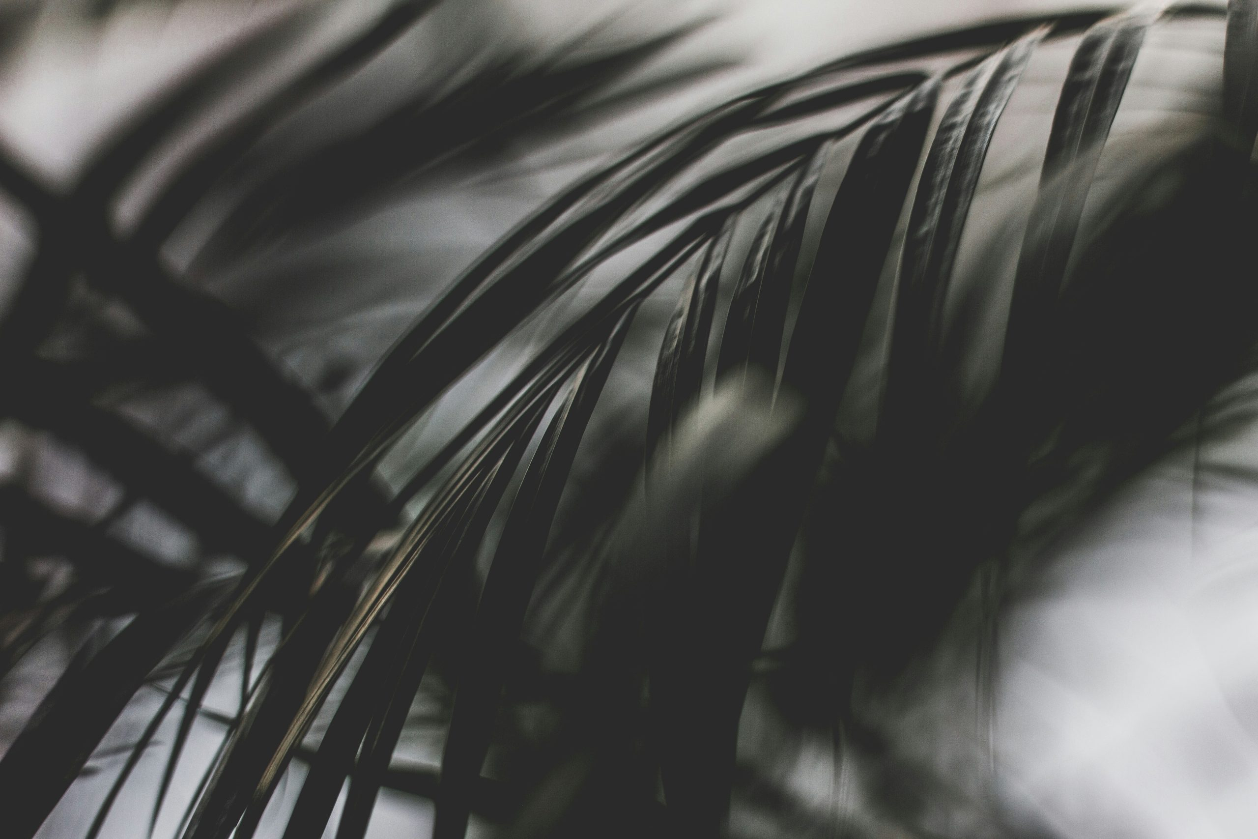 Indigenous Legal Sovereignty in a Globalized World