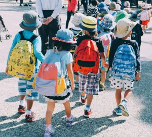 Emotional Intelligence Strategies in Comprehensive Learning Environments