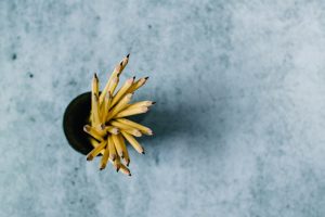 Continuous Learning Approaches for Educational Professionals