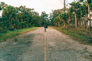 Evidence-Based Educational Practices for Meaningful Transformation