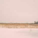 Quantum Sensing: Predictive Collision Avoidance