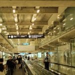 Evolutionary Travel: Understanding Human Adaptation Through Global Journeys