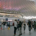 The Living Network: Interconnected Urban Mobility