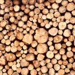 Bioengineered Fuel Systems: Organic Energy Solutions