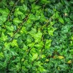 Vertical Frontiers: Conquering Impossible Geographical Landscapes