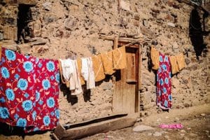 Living Biological Clothing Grows Beyond Traditional Manufacturing