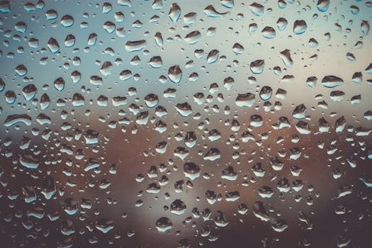 The Transparent Commute: See-Through Vehicle Technologies
