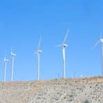 Biomimetic Energy Harvesting: Learning from Natural Systems