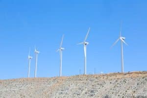 Biomimetic Energy Harvesting: Learning from Natural Systems