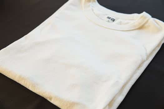 Biomimetic Clothing Designs Inspired by Natural Systems