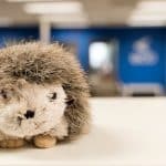 Artificial Intelligence Preserves Indigenous Design Methodologies