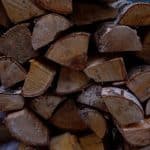 Bioengineered Fuel Systems: Organic Energy Solutions