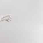 Self-Improving AI Companions: Advanced Adaptive Personal Technology