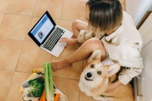 The Evolving Concept of Home in Digital Age