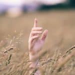 Sensory Migrations: Experiencing the World Through Multiple Dimensions