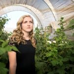 Eco-Friendly Homes: Sustainable Living Made Beautiful