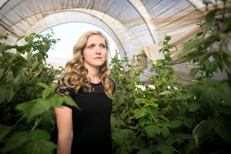 Eco-Friendly Homes: Sustainable Living Made Beautiful