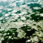 Climate Change Litigation: Global Legal Strategies for Environmental Protection
