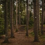 The Holistic Guide to Career Path Navigation