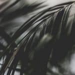 Indigenous Legal Sovereignty in a Globalized World