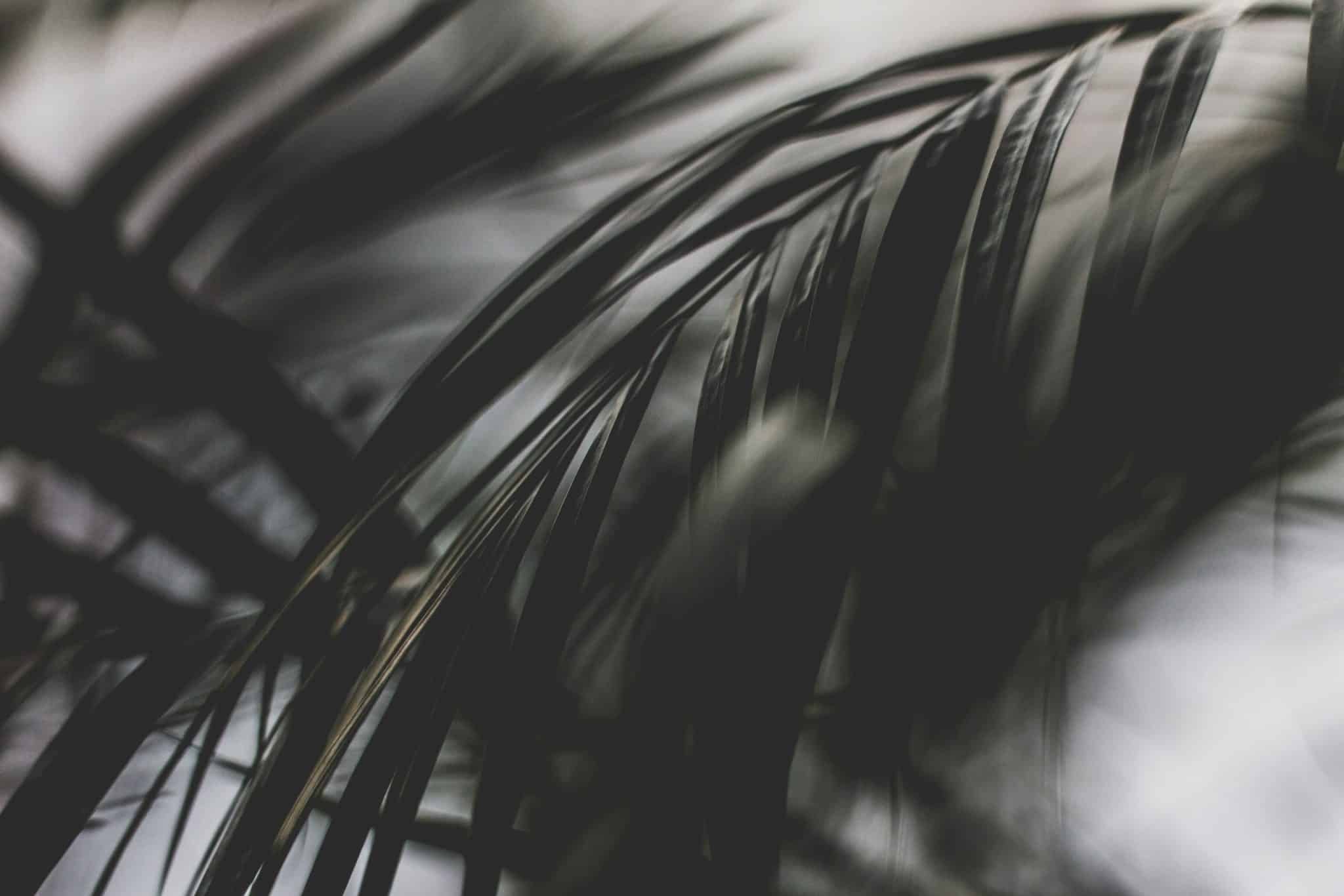 Indigenous Legal Sovereignty in a Globalized World