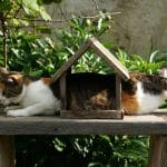 Reimagining Educational Experiences Through Innovative Methodologies