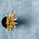 Continuous Learning Approaches for Educational Professionals