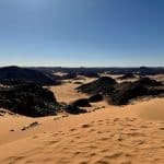 Skills-Based Educational Models for Future Career Preparedness